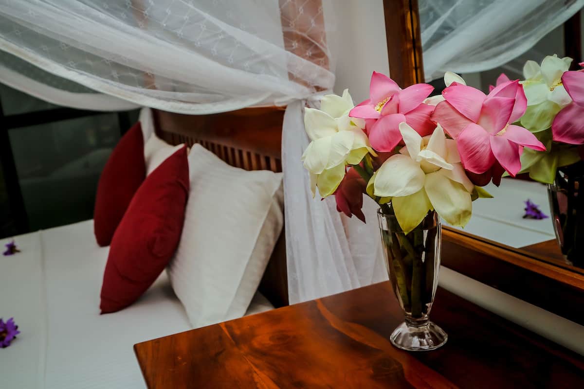 1 bedroom, desk, iron/ironing board (on request), WiFi (free)
