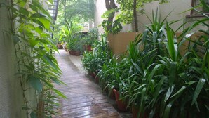 Un estrecho sendero de madera bordeado por plantas en macetas y una estructura de pérgola.