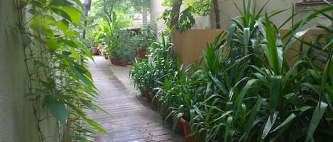 Un estrecho sendero de madera bordeado por plantas en macetas y una estructura de pérgola.