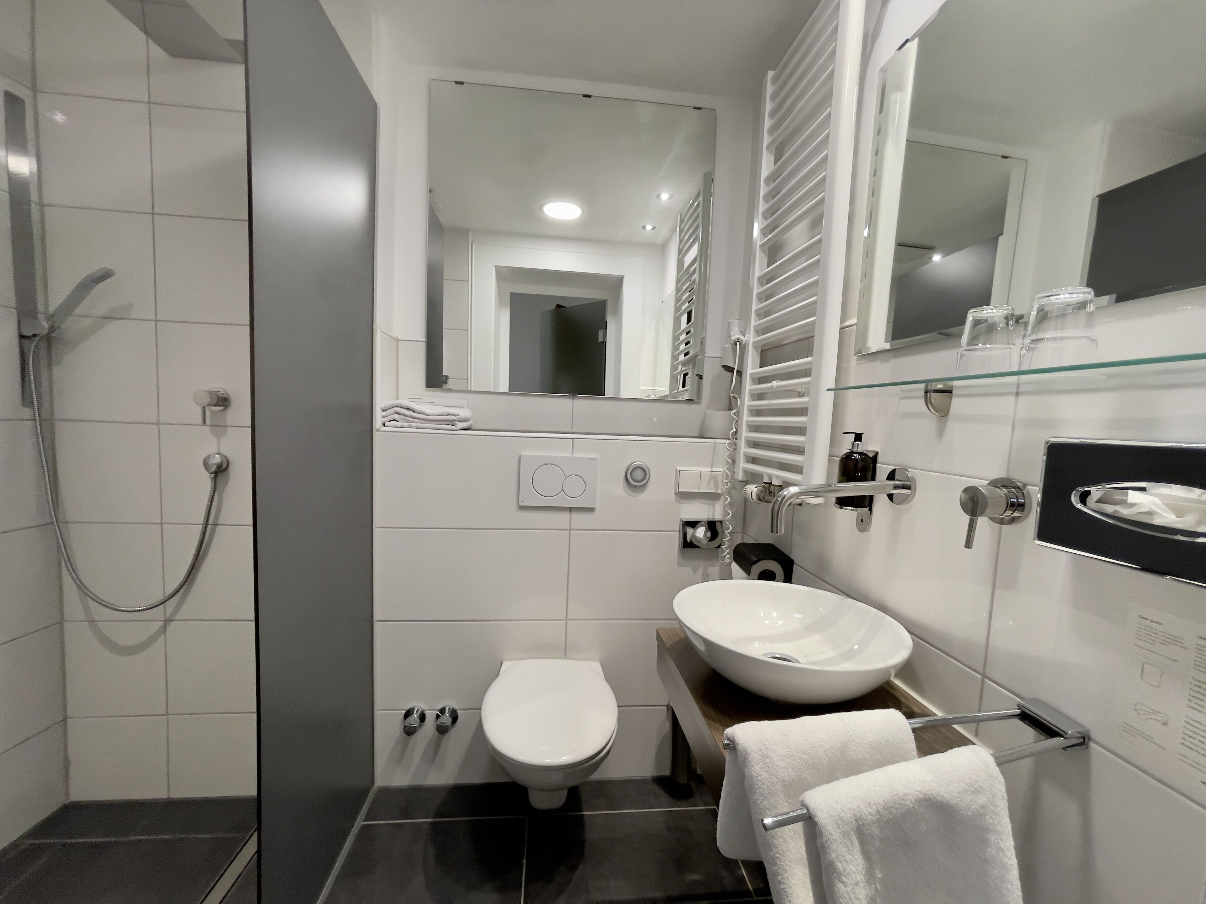 standard double room | bathroom | shower, rainfall showerhead, eco-friendly toiletries, hair dryer