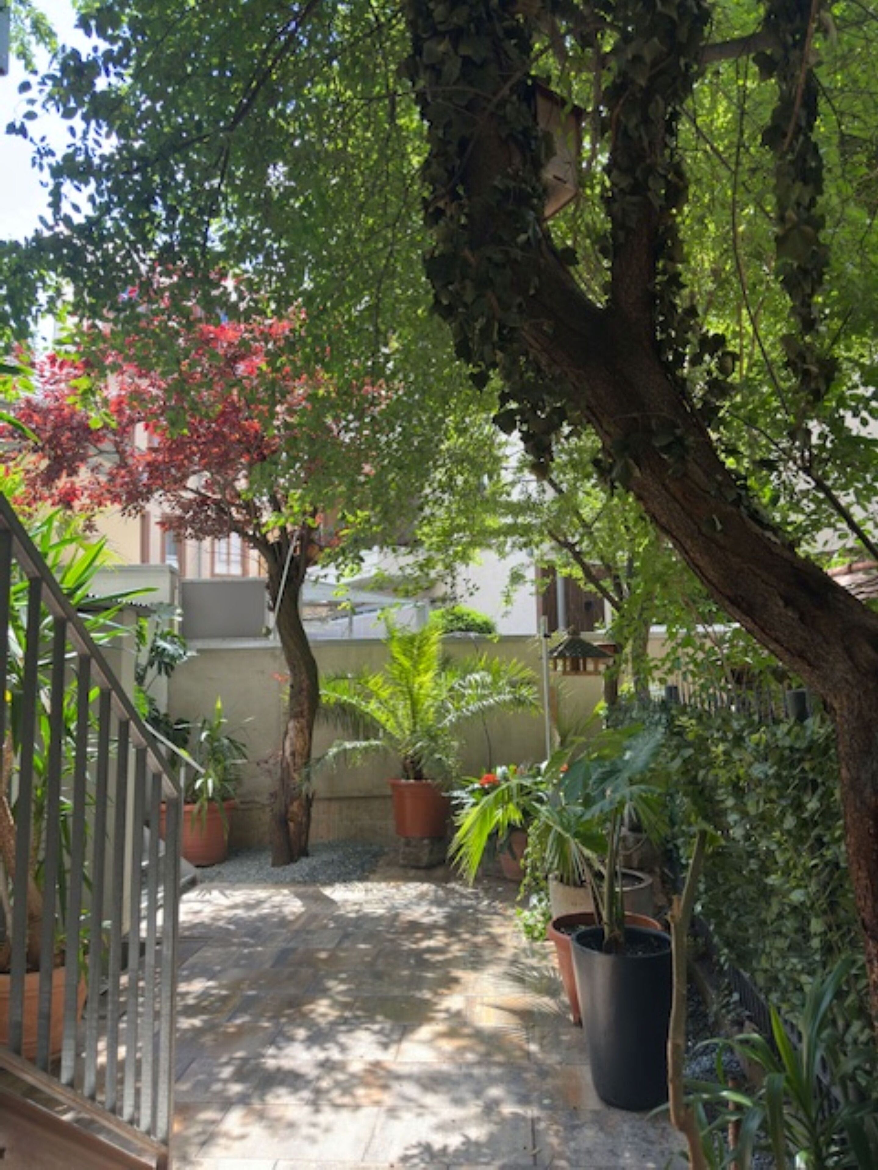 Foto - Hotel Central