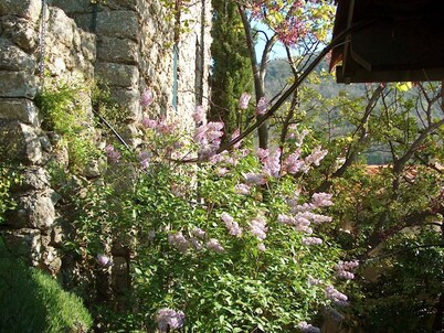 LES Gites D'ardaillers