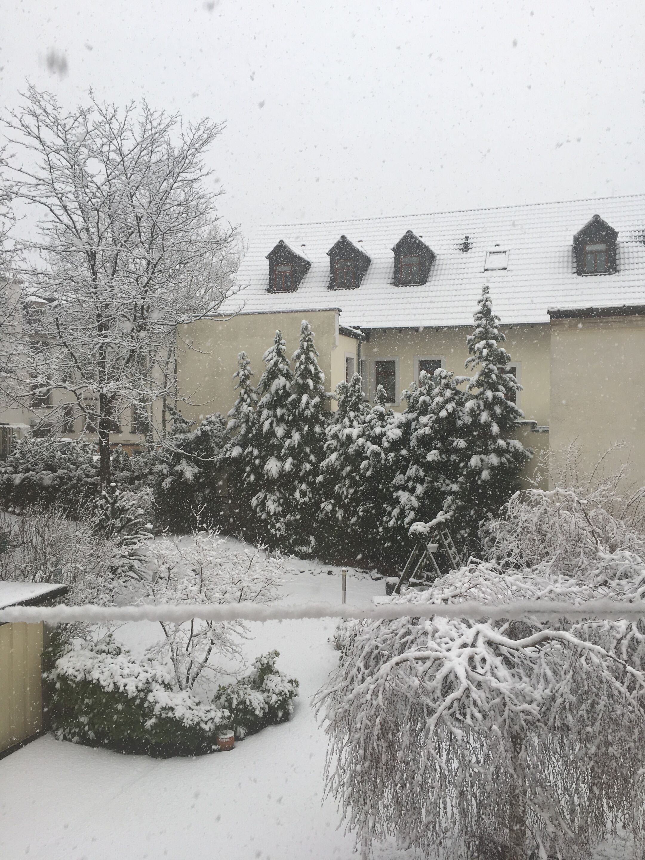 Photo - Apartments und Zimmer Gästehaus Matthias