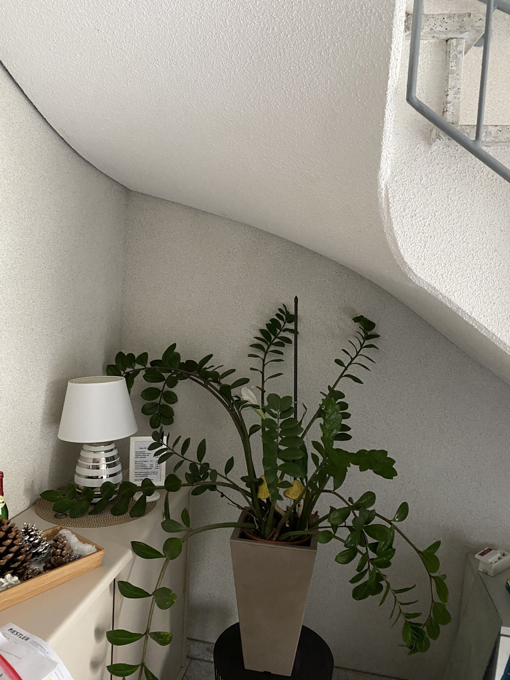 Photo - Apartments und Zimmer Gästehaus Matthias