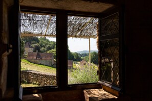 View from property - Maison Linol (Beynac-et-Cazenac)