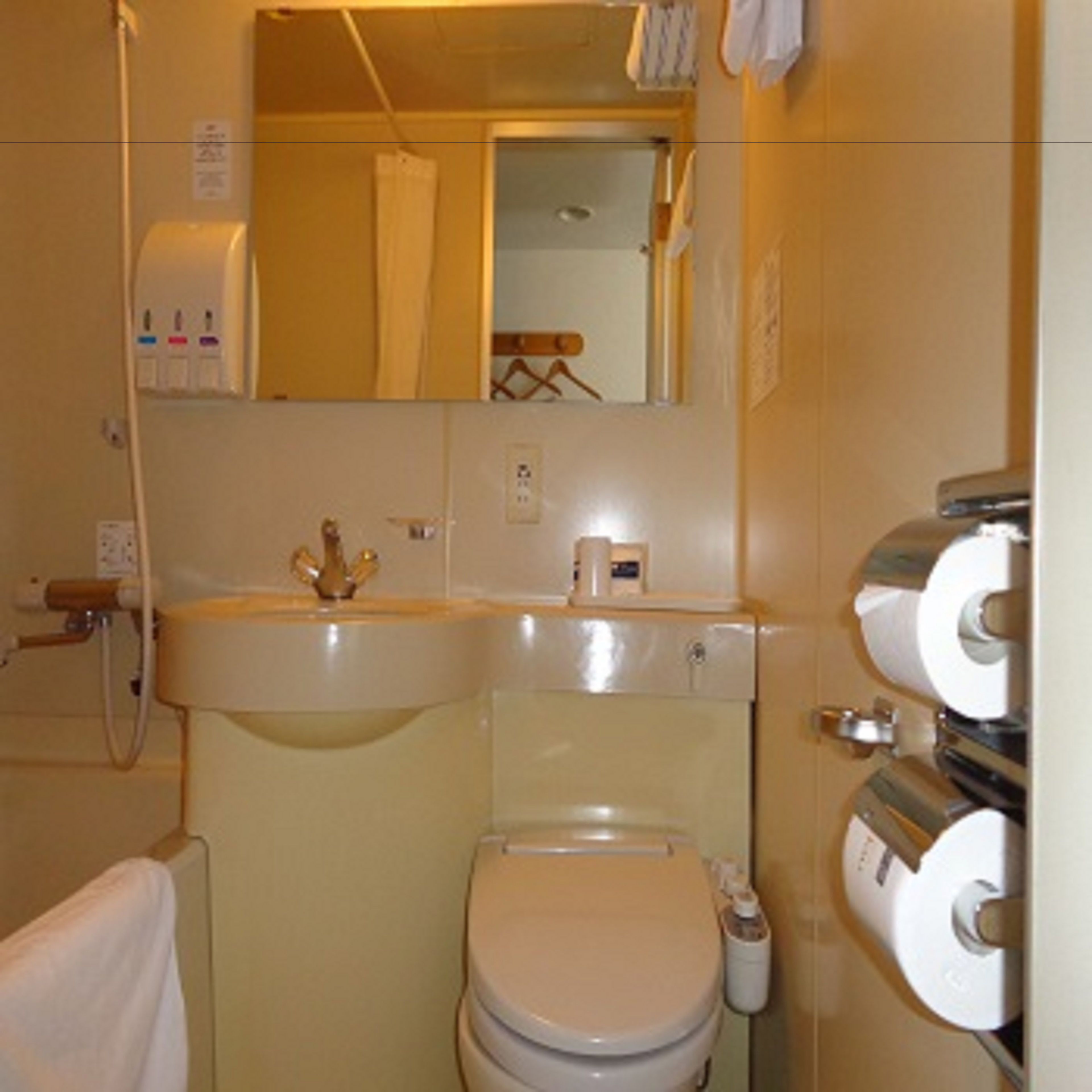 combined shower/bathtub, free toiletries, hair dryer, bathrobes
