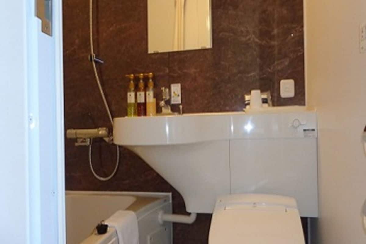 combined shower/bathtub, free toiletries, hair dryer, bathrobes