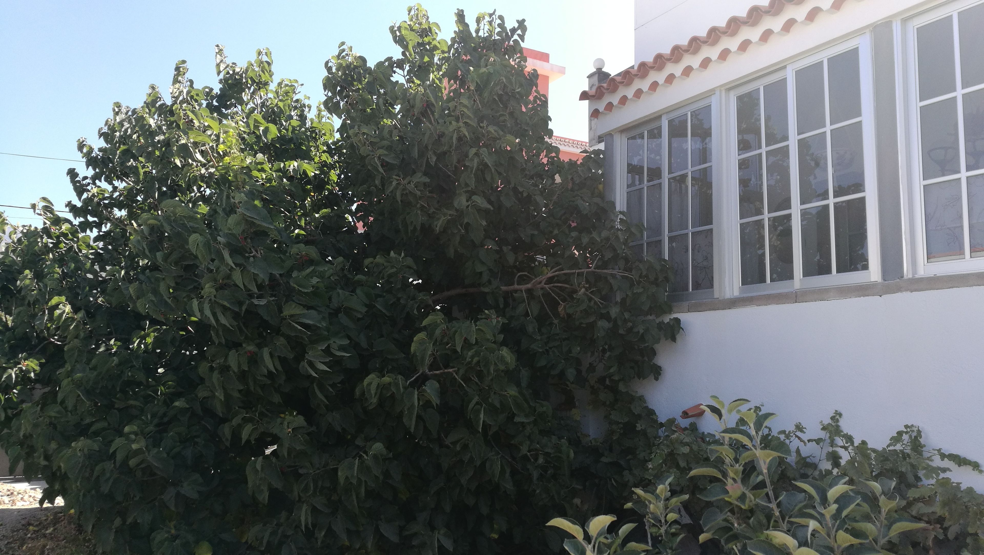 Foto - Holiday Home Emblema