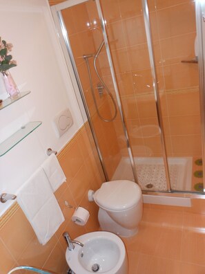 Basic Double Room Single Use, Park View | Bathroom | Shower, free toiletries, hair dryer, bidet