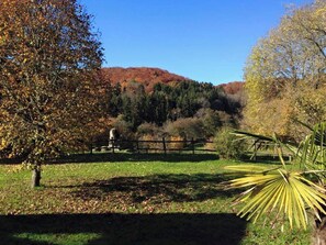 Property grounds - Homerez - House, Alligny-en-Morvan (Alligny-en-Morvan)