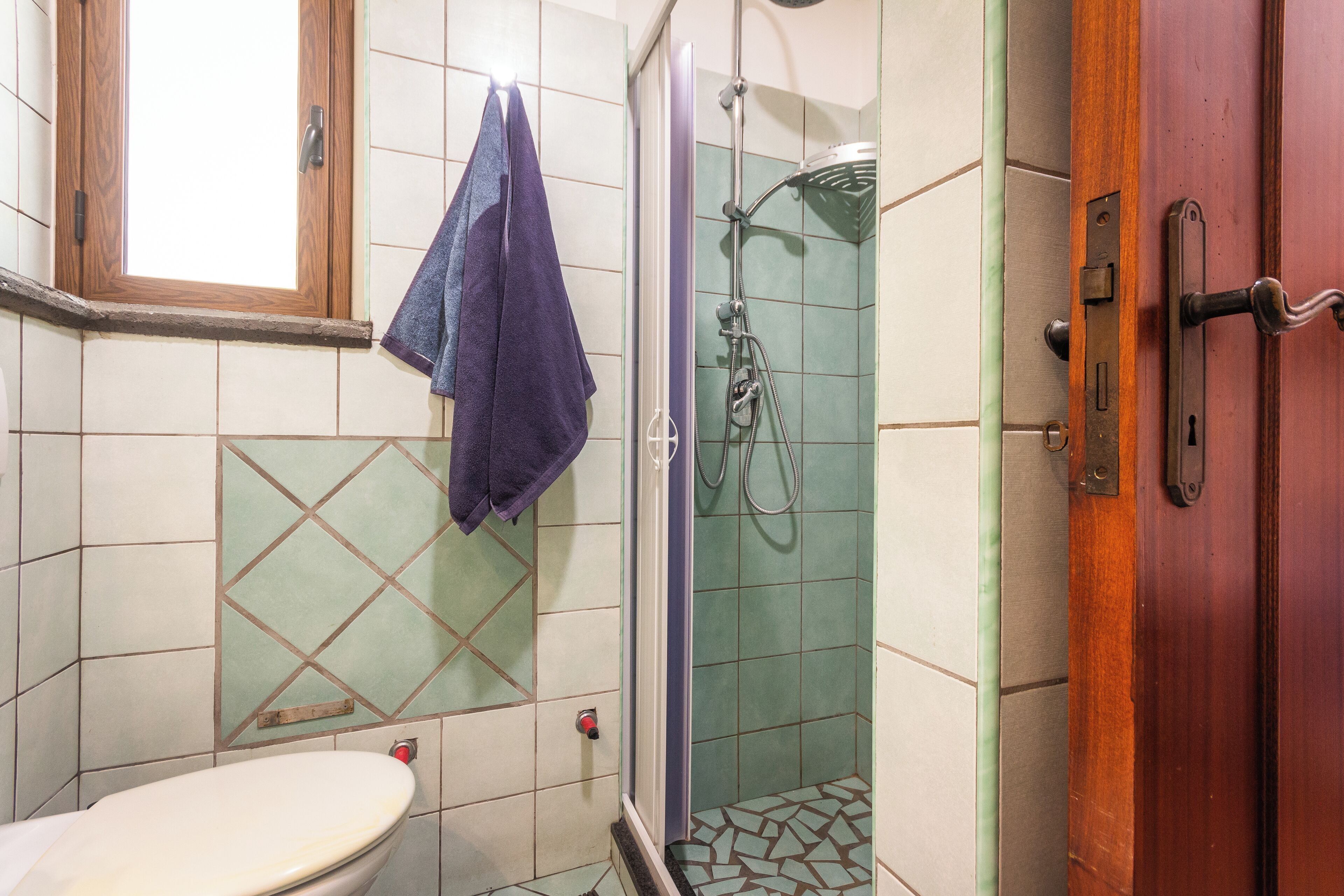 Ein Badezimmer mit Toilette, einer Dusche mit Glastür und einer Holztür.