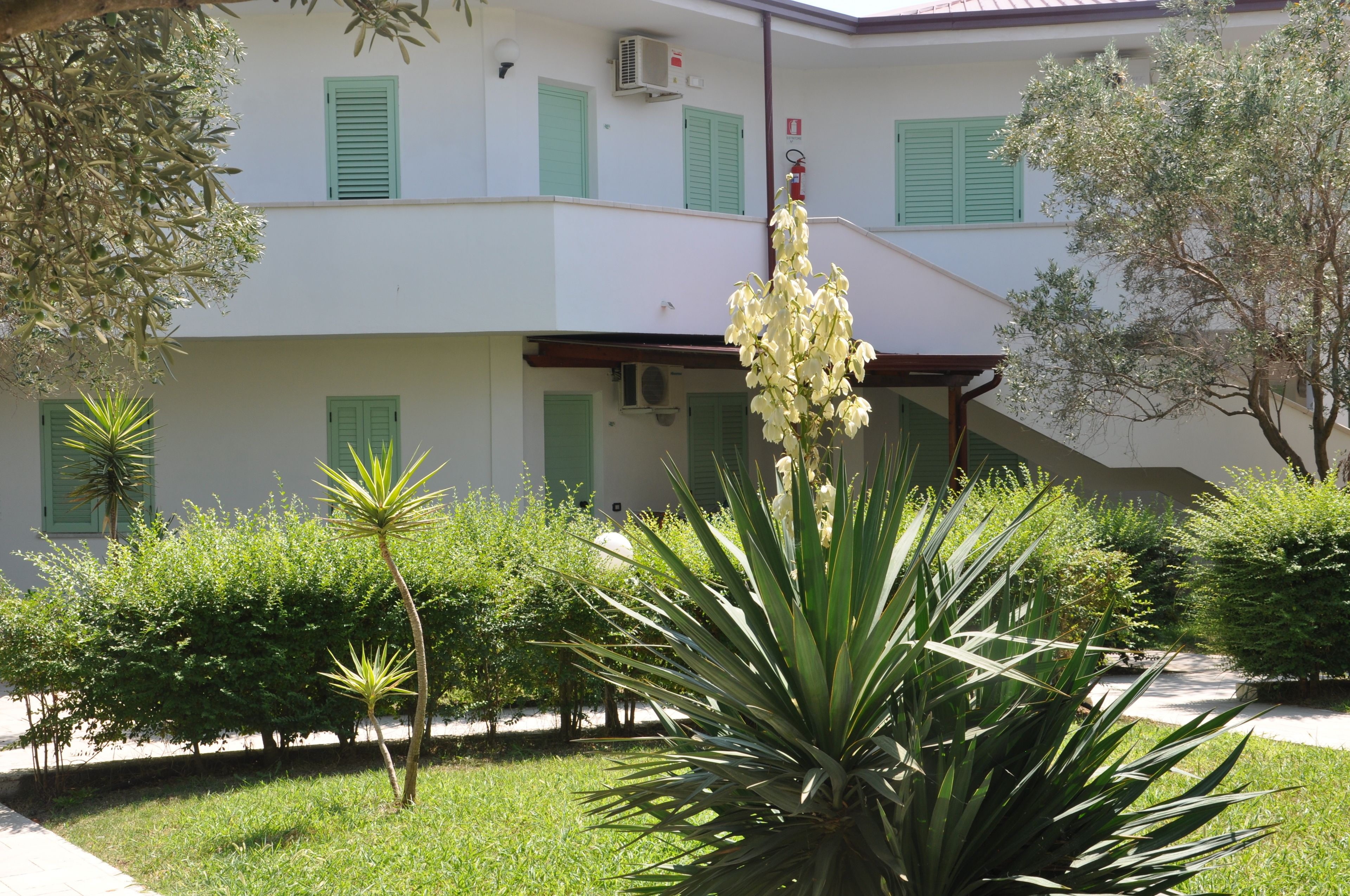 A building with green shutters, a covered walkway, and various plants.
