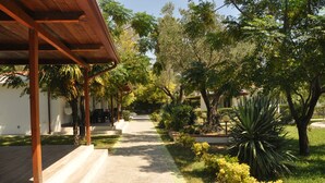 A covered outdoor area with a paved walkway, surrounded by greenery and trees. - Villaggio Borgo degli Ulivi (Sellia Marina)