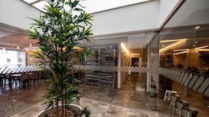 A modern interior with a central plant, a wine rack, and a seating area. - Apartamentos Vida Mar de Laxe (Laxe)