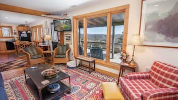 Télévision, cheminée, lecteur de DVD, livres