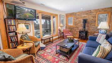 Télévision, cheminée, lecteur de DVD, livres