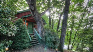 A rustic cabin with a green door and a staircase leading to a porch. - Vacation Cottage in Yonahlossee Resort (Boone)