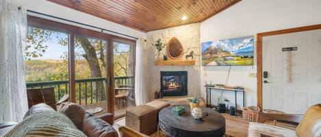 Fernseher, Kamin, DVD-Player