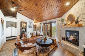 TV, fireplace, DVD player