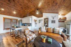 TV, fireplace, DVD player