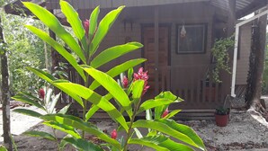 Une maison dotée d’un porche, entourée de verdure et d’un jardin.