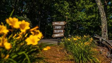 Detalle del exterior