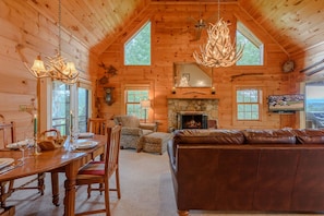 TV, fireplace, books, stereo