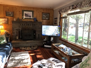 Smart-TV, Kamin, Videospiele, DVD-Player