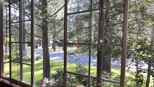 A large window with a view of a well-maintained garden and a road. - Charming, Cozy, Cottage. Location Perfect for Outdoor enthusiasts and Couples (South Lake Tahoe)
