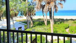 Un balcón con vistas a una playa, palmeras y una zona ajardinada.