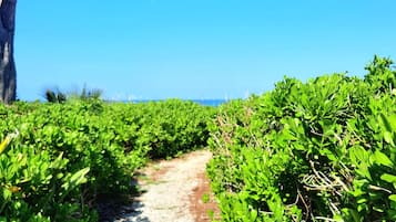 Condo, 2 Bedrooms | Property grounds