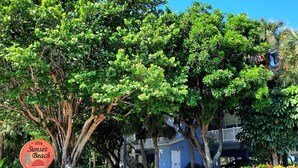 Un cartel indica Sunset Beach, un edificio de color azul y abundante vegetación.