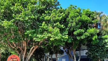 Condo, 2 Bedrooms | Front of property