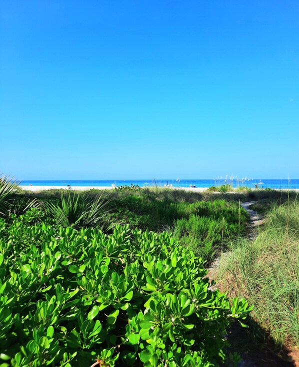 Condo, 2 Bedrooms | Beach | On the beach