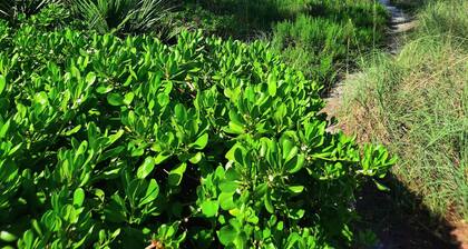 Sunset Beach 202 2 Bedroom Condo by RedAwning