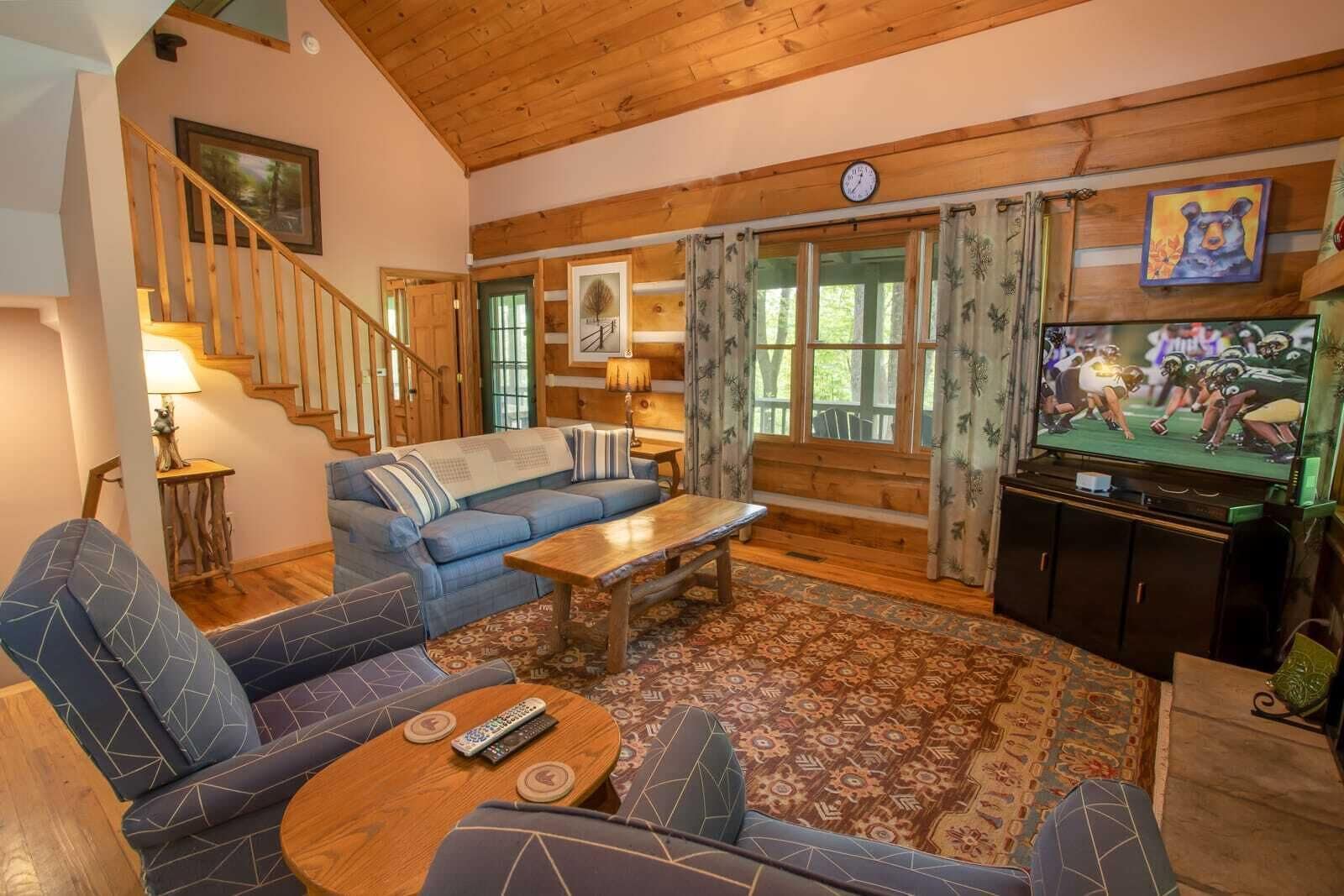 TV, fireplace, DVD player