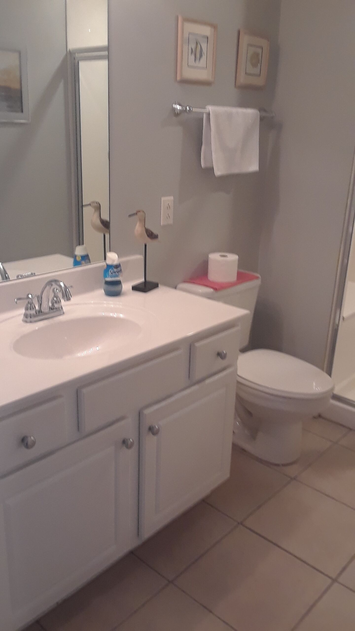 A bathroom with a white sink, mirror, and toilet. There are two framed pictures on the wall, a towel rack with a white towel, and a roll of toilet paper on the toilet.