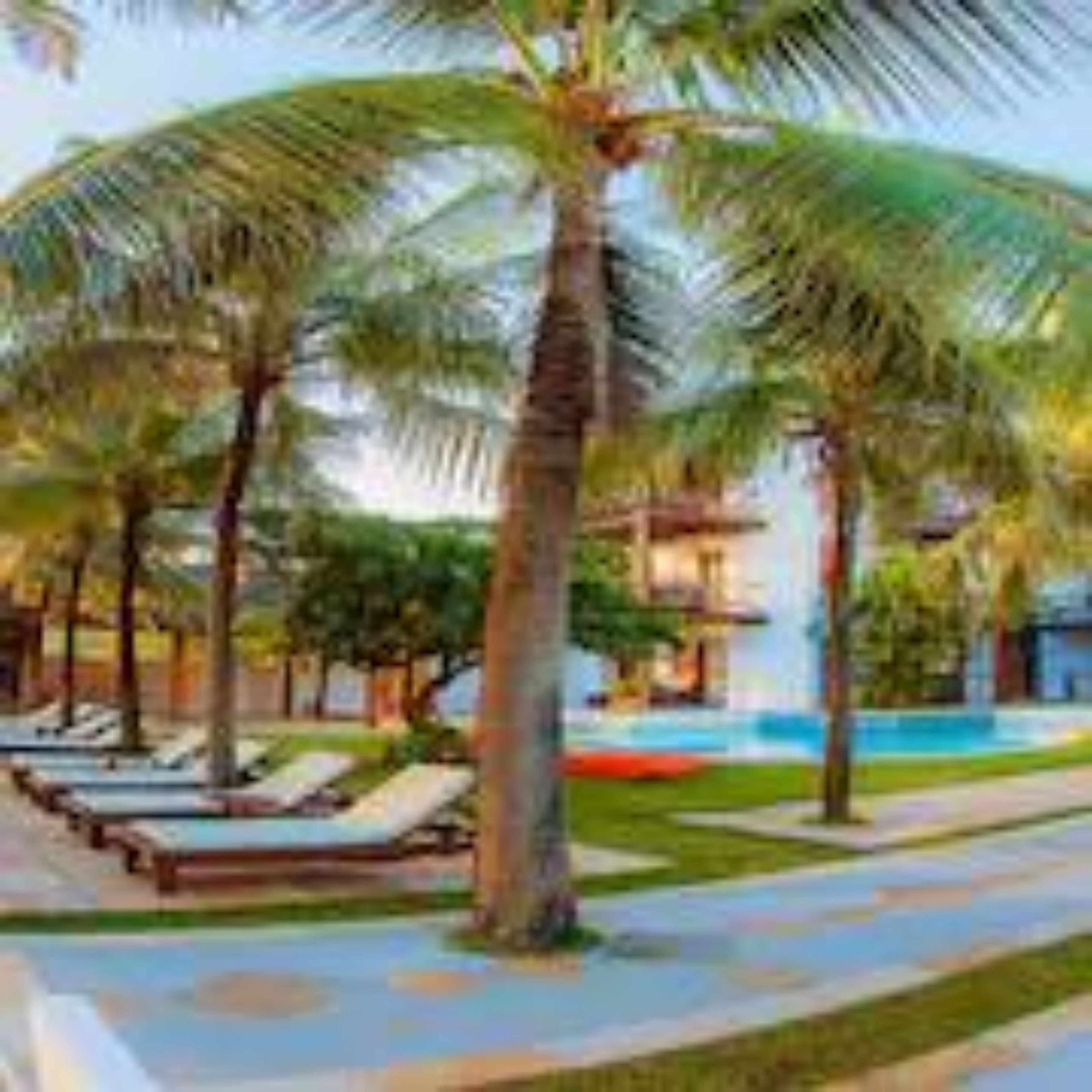 Un resort con palmeras, piscina y sillones de descanso.