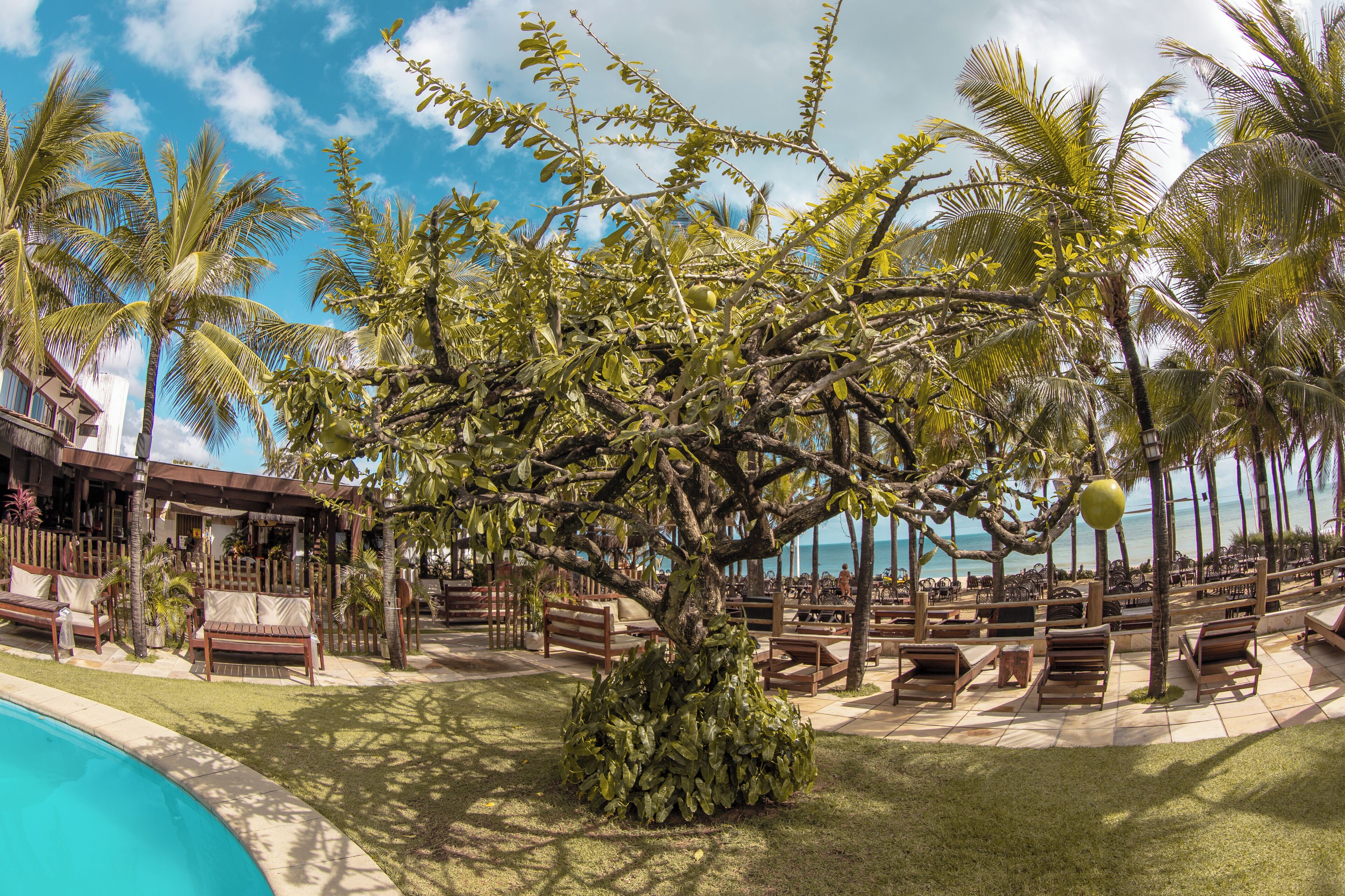 32-inch smart tv with digital channels