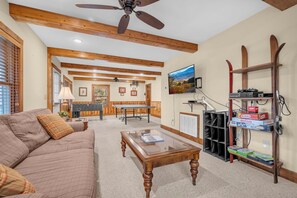 TV, fireplace, video games, DVD player