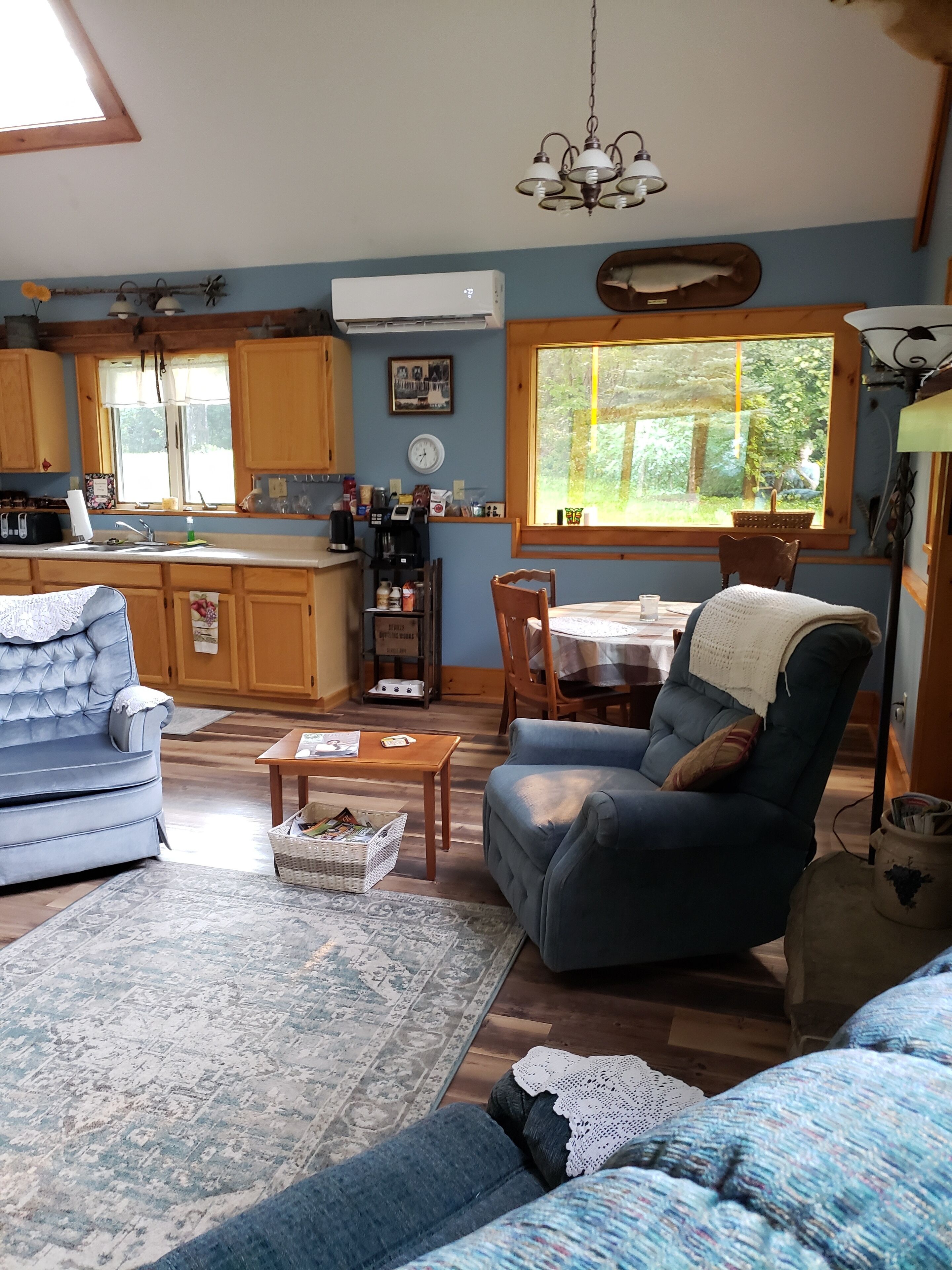 Älytelevisio, takka, DVD-soitin, kirjoja