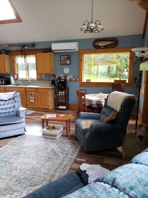 TV connectée, cheminée, lecteur de DVD, livres