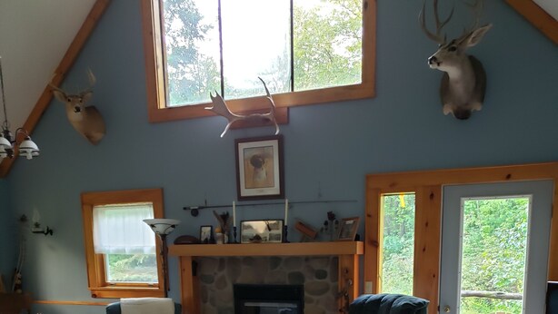 A cozy living room with a stone fireplace, wooden furniture, and deer antlers on the wall.