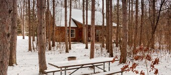Avskilt privat stuga undangömt i Red Pines vid Keuka Lake