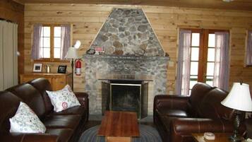 Télévision, cheminée, lecteur de DVD, livres