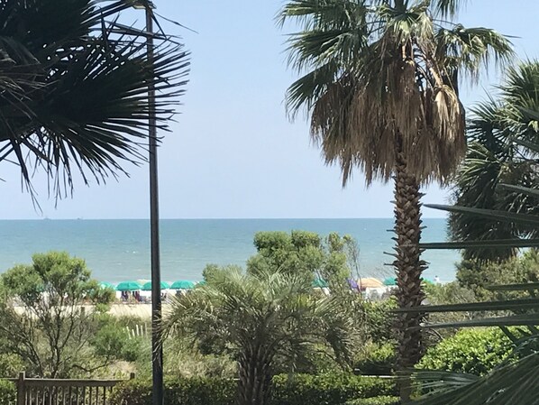 On the beach, sun loungers