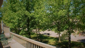 Ein Balkon mit Blick auf einen Park mit Bäumen und einer Bank.