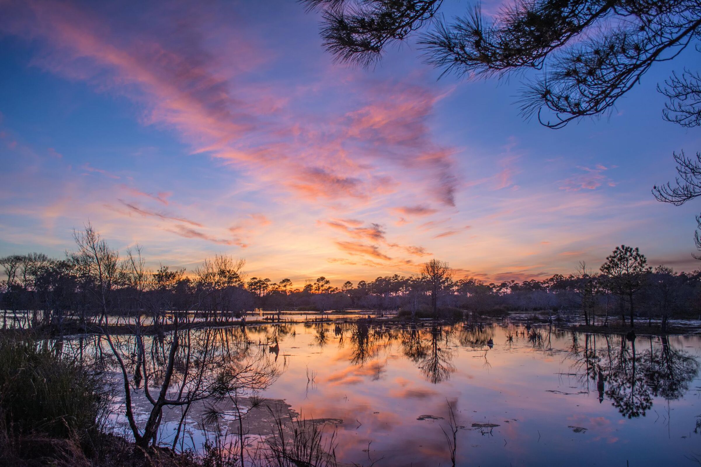 A tranquil lakeside scene with reflections of trees and a sunset sky.