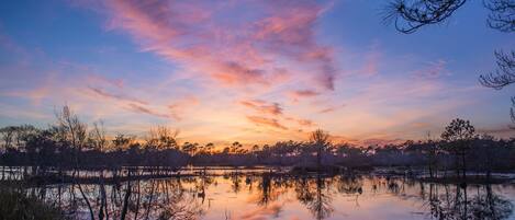 A tranquil lakeside scene with reflections of trees and a sunset sky.