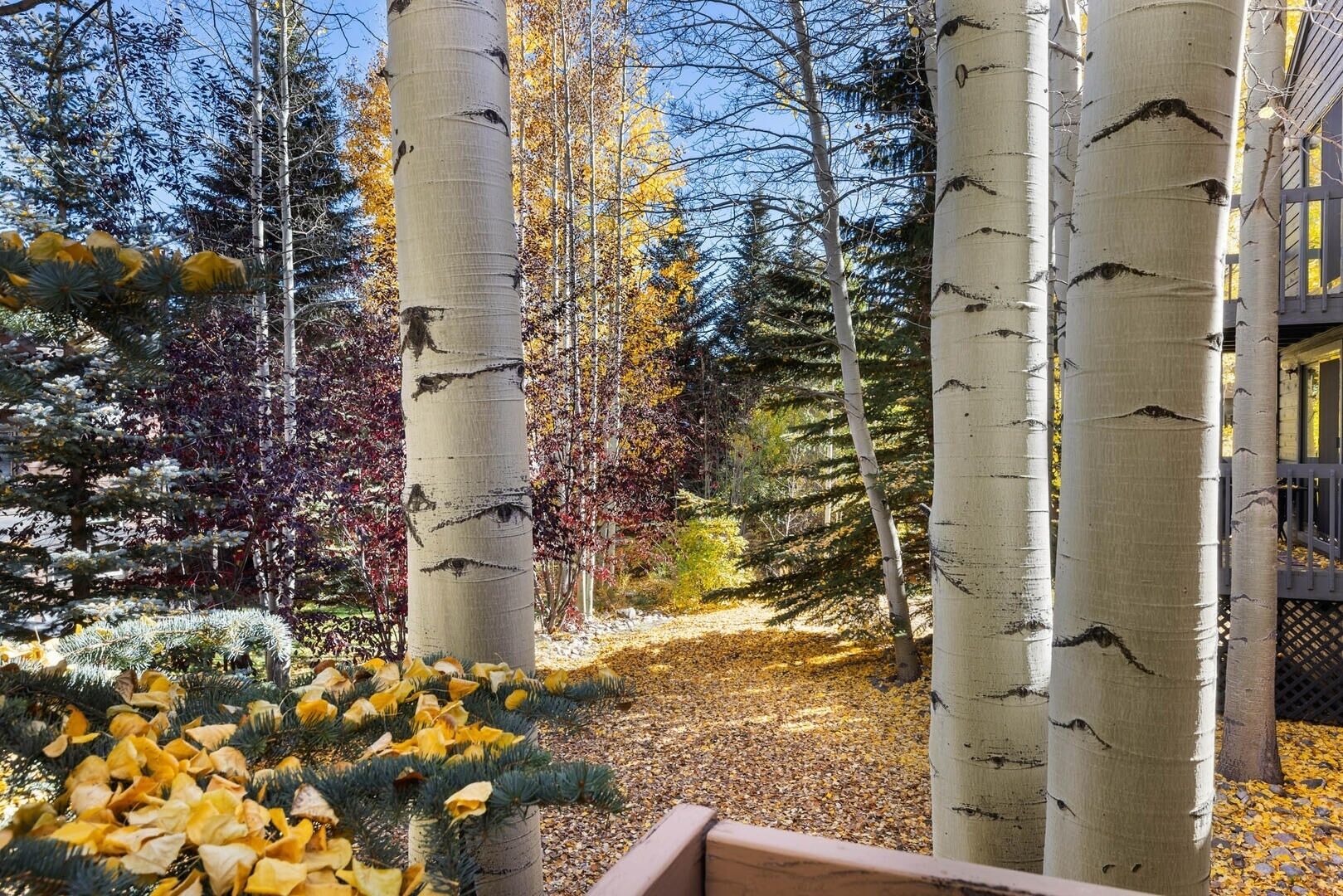 House, 3 Bedrooms | Property grounds